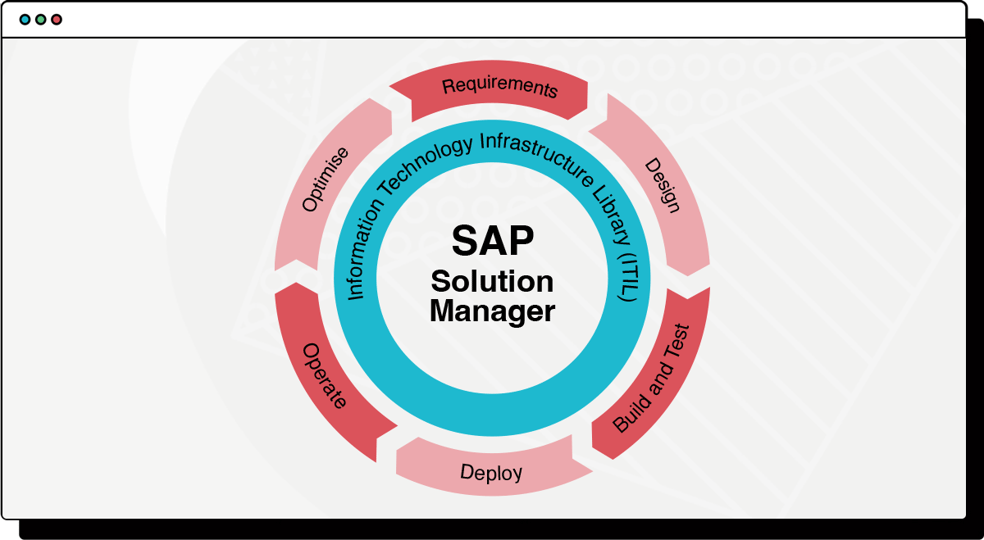 SAP-cycle-v3