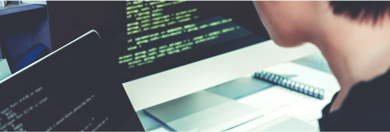 Software Customisation